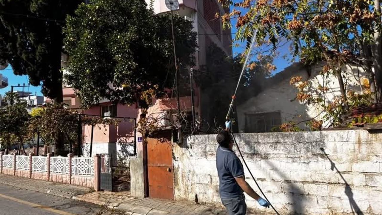Aydın’da haşereyle mücadele sürüyor
