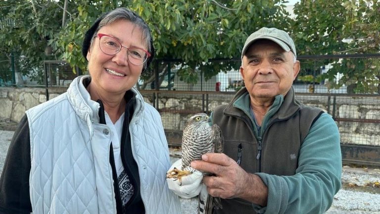 Kuşadası’nda kurtarılan atmaca ve sansar yeniden doğaya bırakıldı
