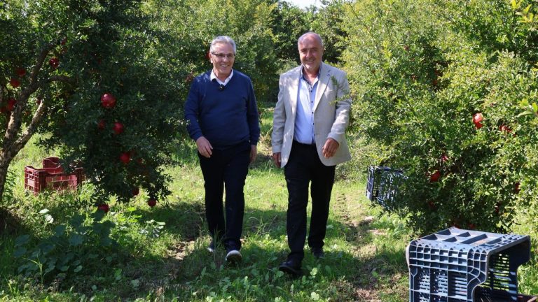 Başkan Tetik Bereketli Mahallesi’nde üreticiler ile buluştu