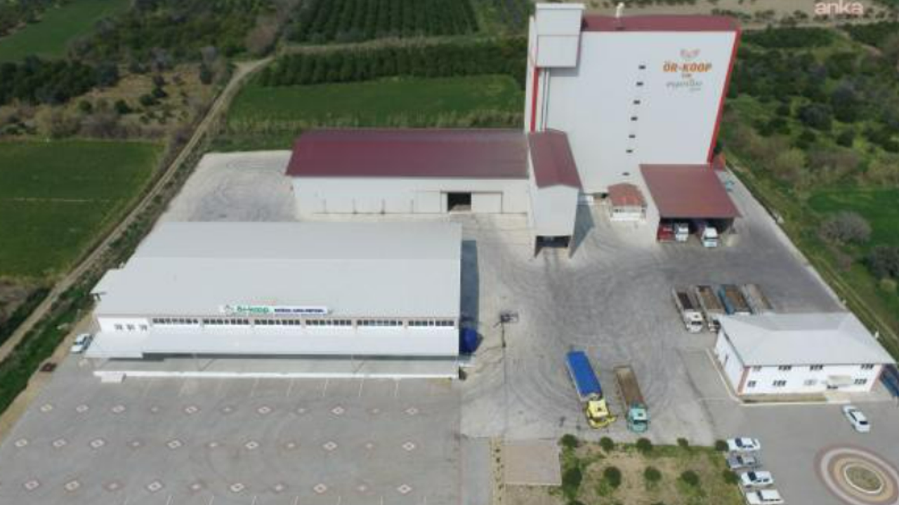 Aydın'da 47 yıllık üretici kooperatifi konkordato ilan etti