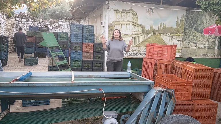Karacasu'nun ilk ve tek kadın zeytin tüccarı fiyatlara isyan etti